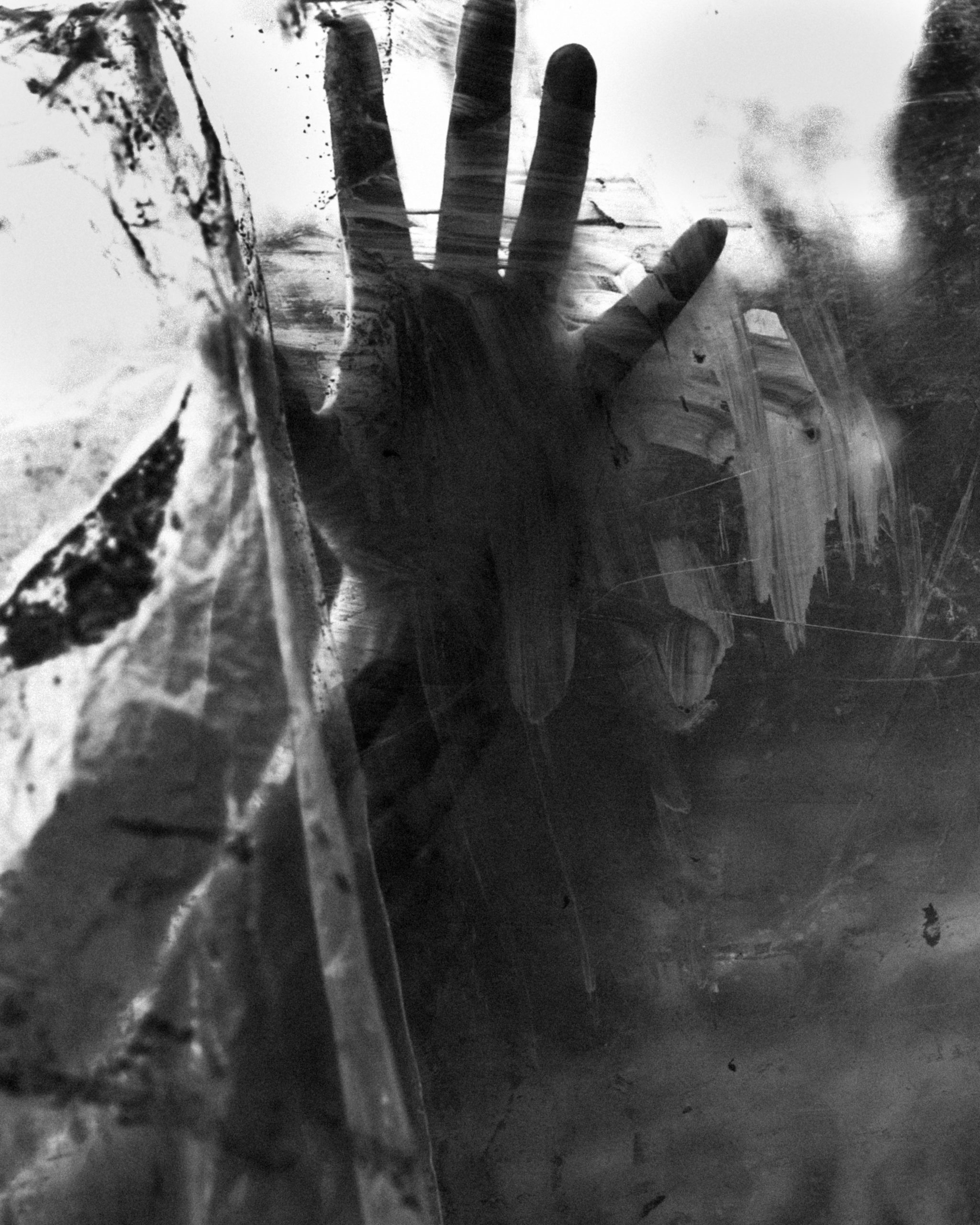 Photographie d’auteur – Valérie Nunes